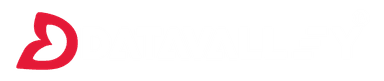 DataValley Logo